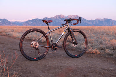 Our Friends: Corvid Cycles
